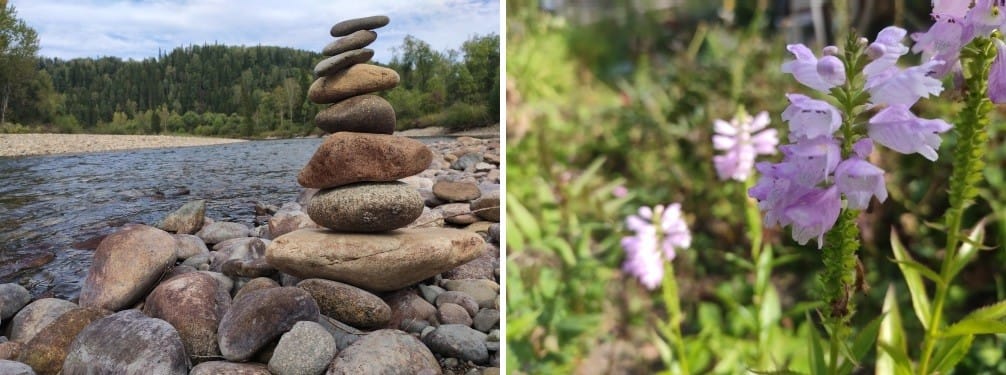 xiaomi redmi note 7 pro обзор камеры