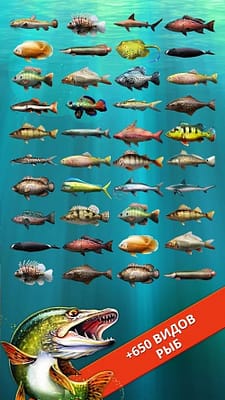 игра Let’s Fish на телефон