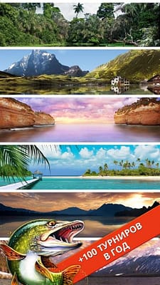 игра Let’s Fish на телефон