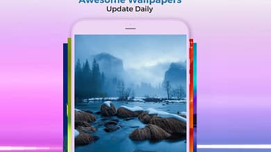 программа Cool Wallpapers HD для телефона