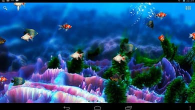 обои Аквариум на телефон
