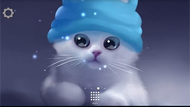 скачать обои Yang The Cat Lite