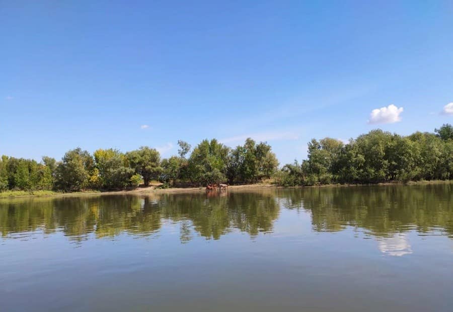 смартфон xiaomi redmi note 7 pro обзор